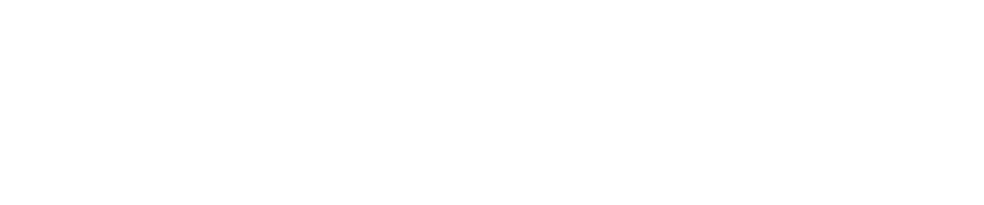 Dub